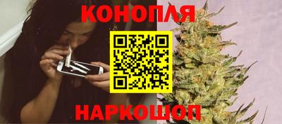 гашик Ливны