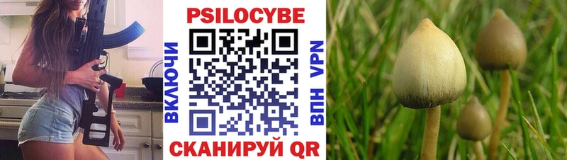blacksprut рабочий сайт Джанкой Галлюциногенные грибы мухоморы где найти