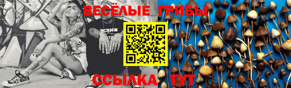 Галлюциногенные грибы Cubensis Джанкой