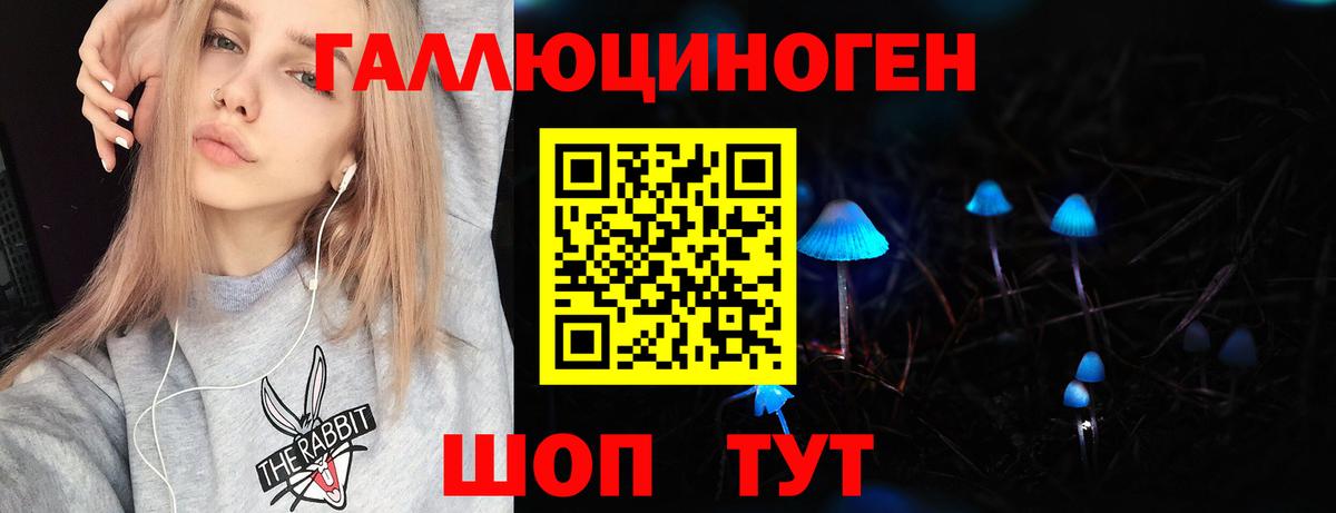 где можно купить наркотик  Галлюциногенные грибы Psilocybine cubensis  Вход с VPN  Джанкой 
